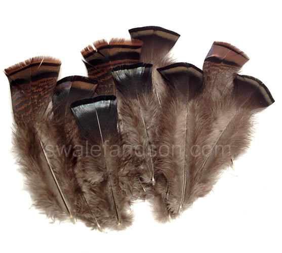 W.W. Swalef & Son Wholesale Dealers of all Types of Fancy Feathers